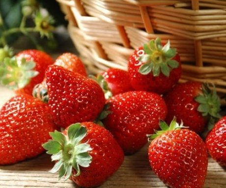 The best varieties of garden strawberries, their description