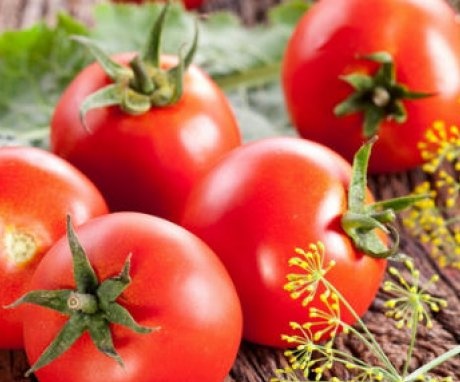 The best varieties of tomatoes for open ground