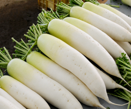 What is daikon?