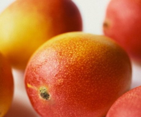 Characteristics of the mango as a fruit