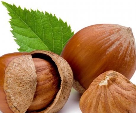 General information about hazelnuts