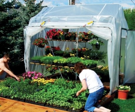 What crops are grown in greenhouses