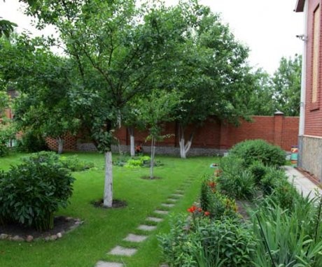 Optimal garden layout