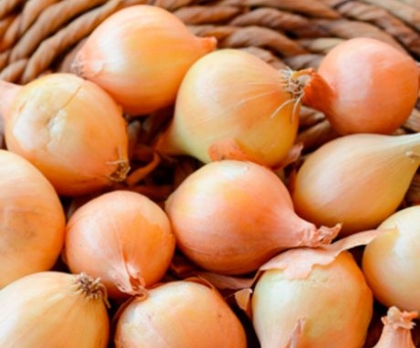 Onion varieties