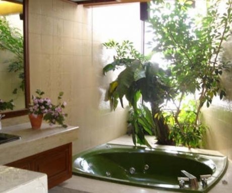 Creating conditions for indoor flowers in the bathroom