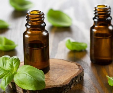 The composition and properties of basil essential oil