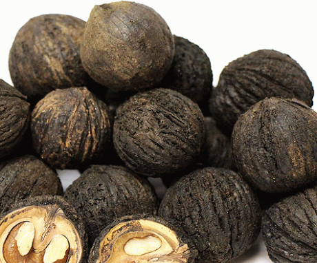 Popis, složení a vlastnosti ořechu