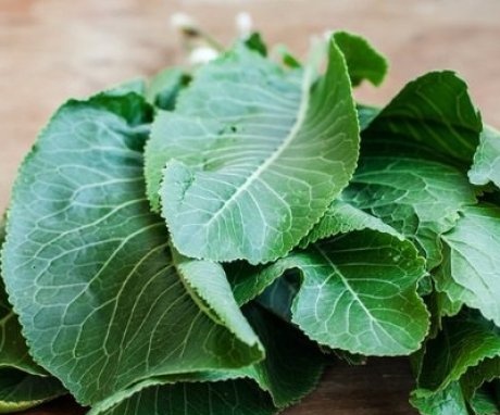 The use of horseradish leaves in cooking