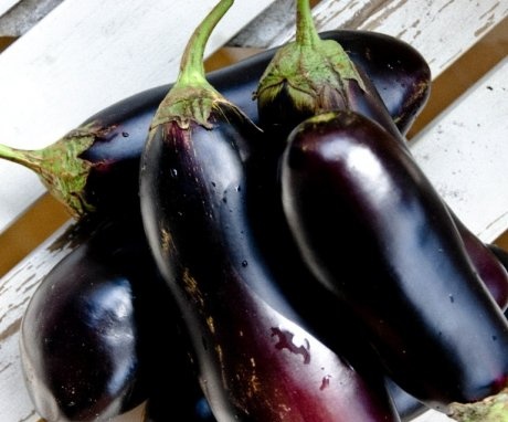 The best varieties of eggplant for the greenhouse