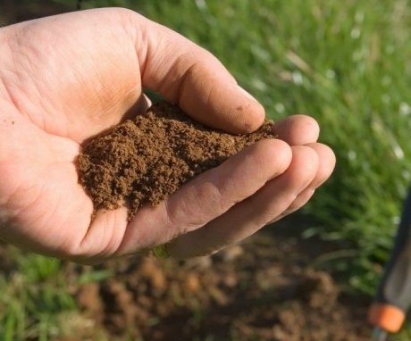 Helyszín előkészítése, talaj és palánta