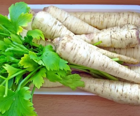 Parsley root - composition, useful and medicinal properties