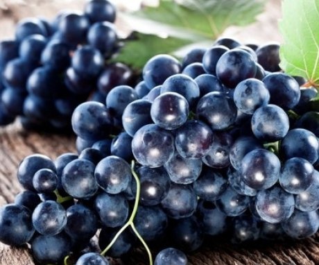 Composition, useful properties of berries