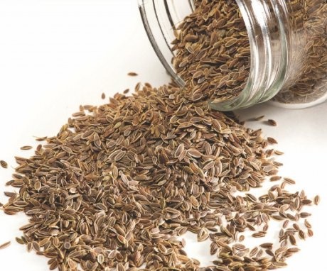 Features of the preparation of dill seeds