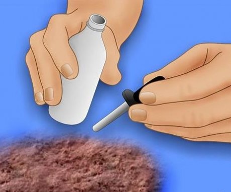 Best Methods for Testing Soil Acidity