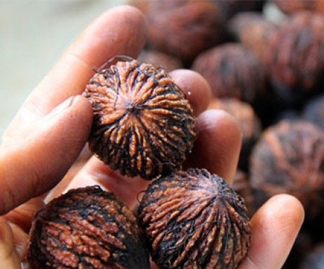 Výhody vlašských ořechů a jejich použití v medicíně