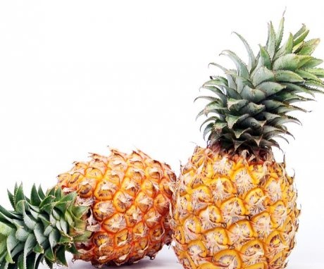 Reprodukcija ananasa