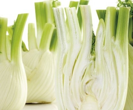 How to choose the right fennel?