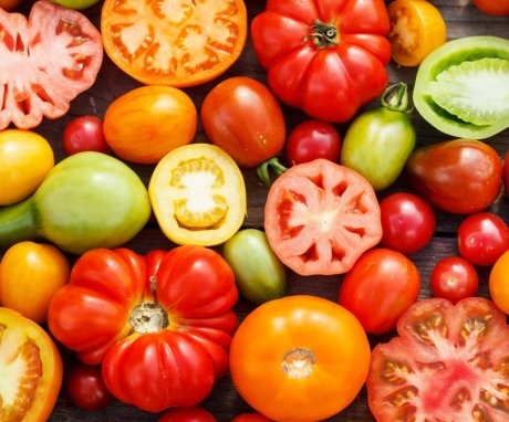 أصناف شعبية من الطماطم للزراعة