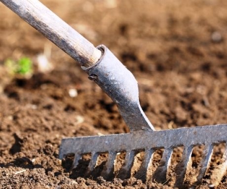 Soil preparation and planting dates