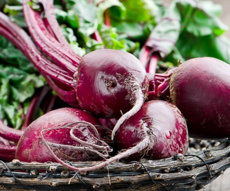 Review of the best, productive varieties of beetroot