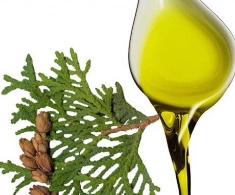 How is thuja oil used