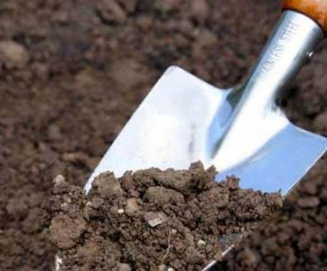 Helyszín és talaj előkészítése