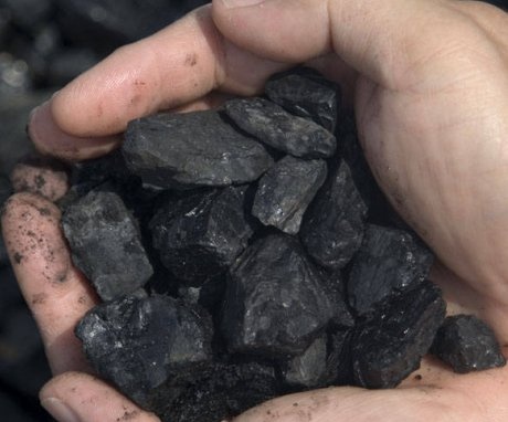 أنواع أسمدة الفحم