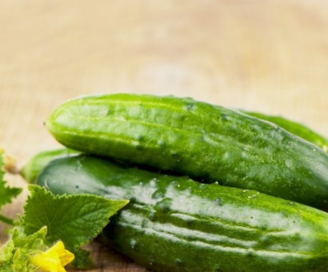 The best varieties of greenhouse cucumbers
