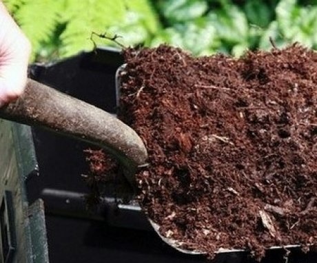 How to acidify soil