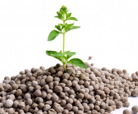 Characteristics of phosphorus fertilizers