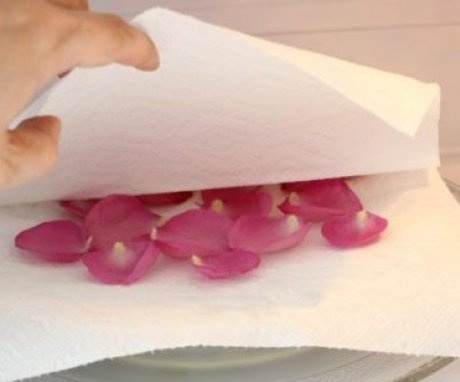 Rules for drying rose petals in the microwave