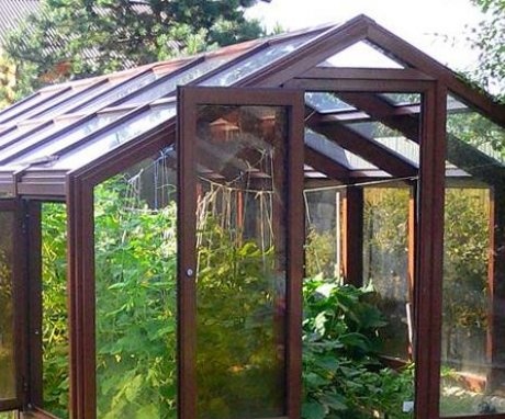 Varieties of greenhouses made of wood
