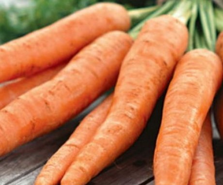 Mid-season carrot varieties