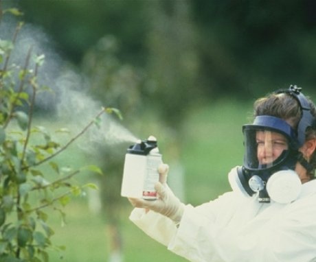 Skupiny pesticidů