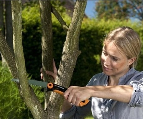 Types of tree pruning