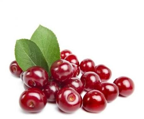 Reproduction of felt cherries