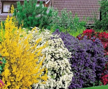 Useful tips for decorating your garden