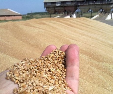 Norme de manipulare a cerealelor