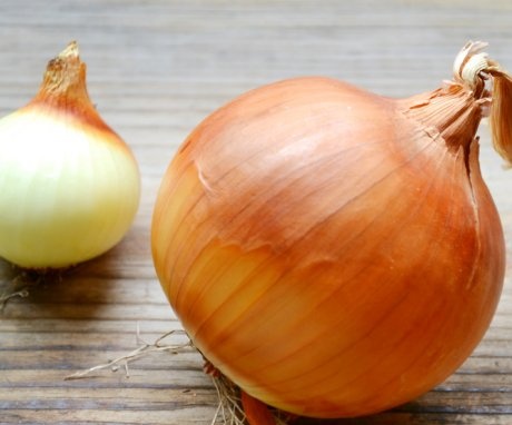 The healing properties of onions