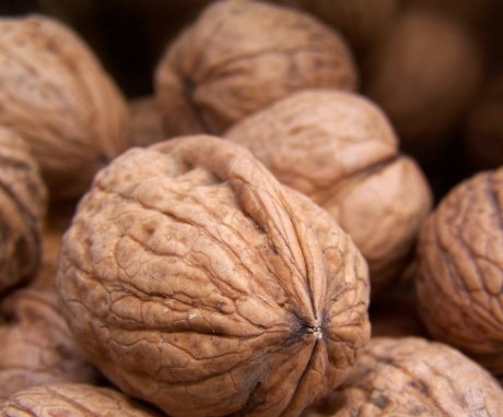 Značajke i metode čuvanja orašastih plodova u ljusci