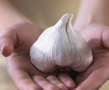 What is garlic good for?