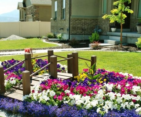 Schemes for creating island flower beds