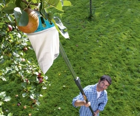 Omul culegând mere cu un culegător de fructe