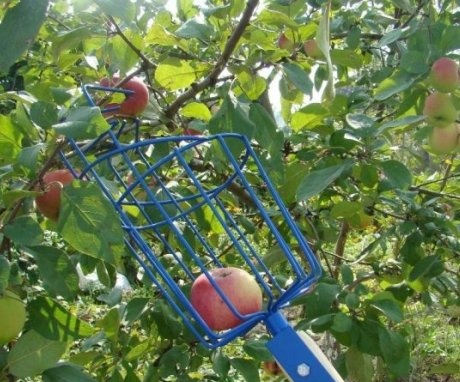 Dispozitiv de extragere a mărului